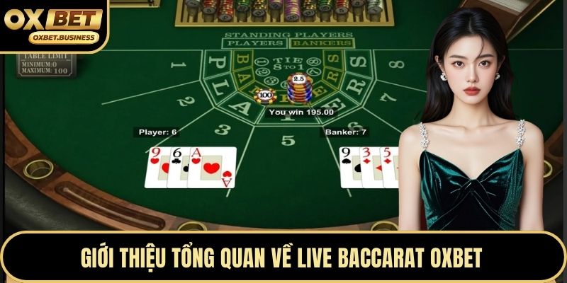 Giới thiệu tổng quan về live baccarat OXBET 