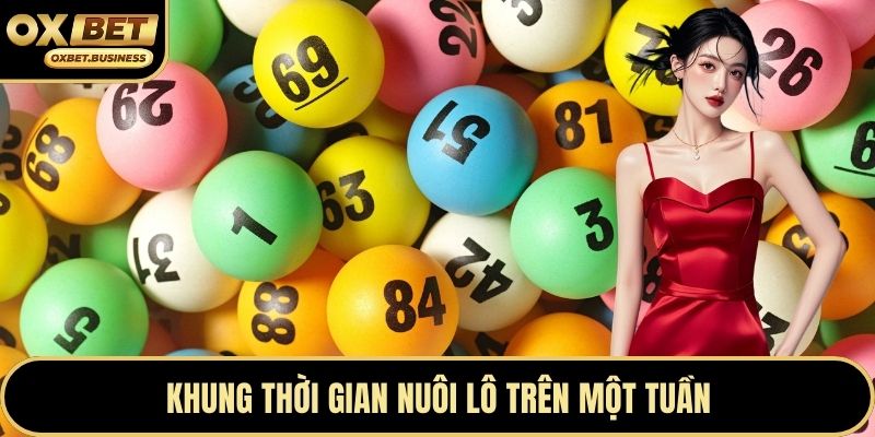 Khung thời gian nuôi lô trên một tuần
