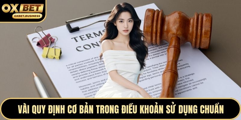 Vài quy định cơ bản trong điều khoản sử dụng chuẩn